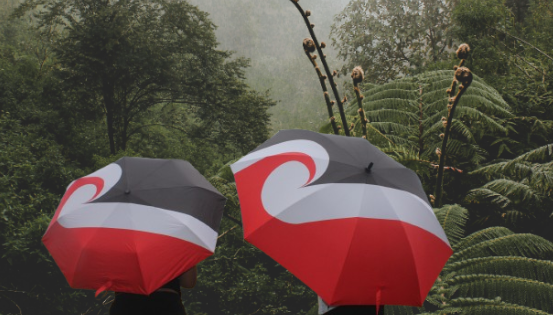 Tino Rangatiratanga Umbrella