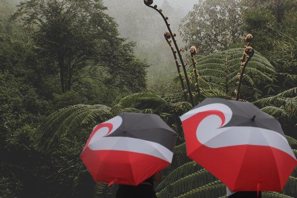 Tino Rangatiratanga Umbrella