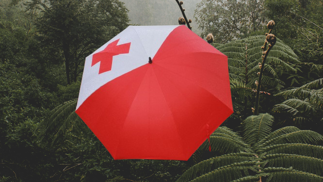 Tongan Umbrella