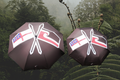 Tino Rangatiratanga / He Whakaputanga Umbrella
