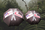 Tino Rangatiratanga / He Whakaputanga Umbrella