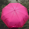 Maru Māwhero Umbrella